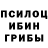 Галлюциногенные грибы MAGIC MUSHROOMS ERTY FG