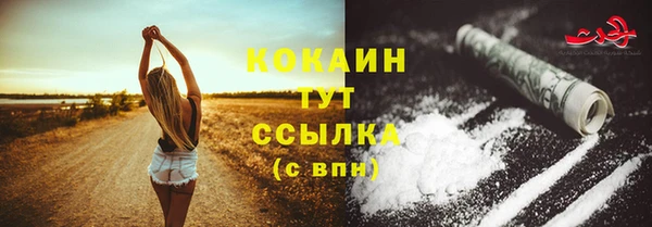 дживик Белоозёрский