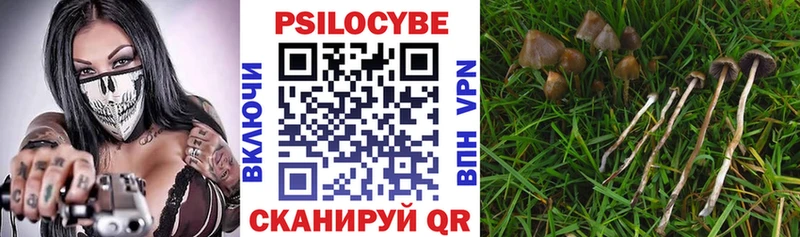 Галлюциногенные грибы GOLDEN TEACHER  Козельск 